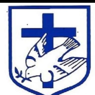 Inyathi High School logo